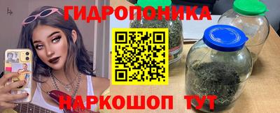 прущие грибы Волгодонск